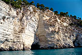 La costa cesellata di grotte create dall'erosione del calcare con anfratti; rientranze e rotture.